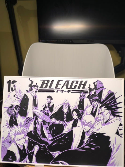 Plaque Décorative Gotei 13 | Bleach