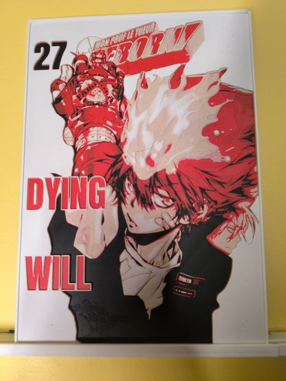 Plaque Décorative Tsunayoshi Sawada Dying Will | Reborn!