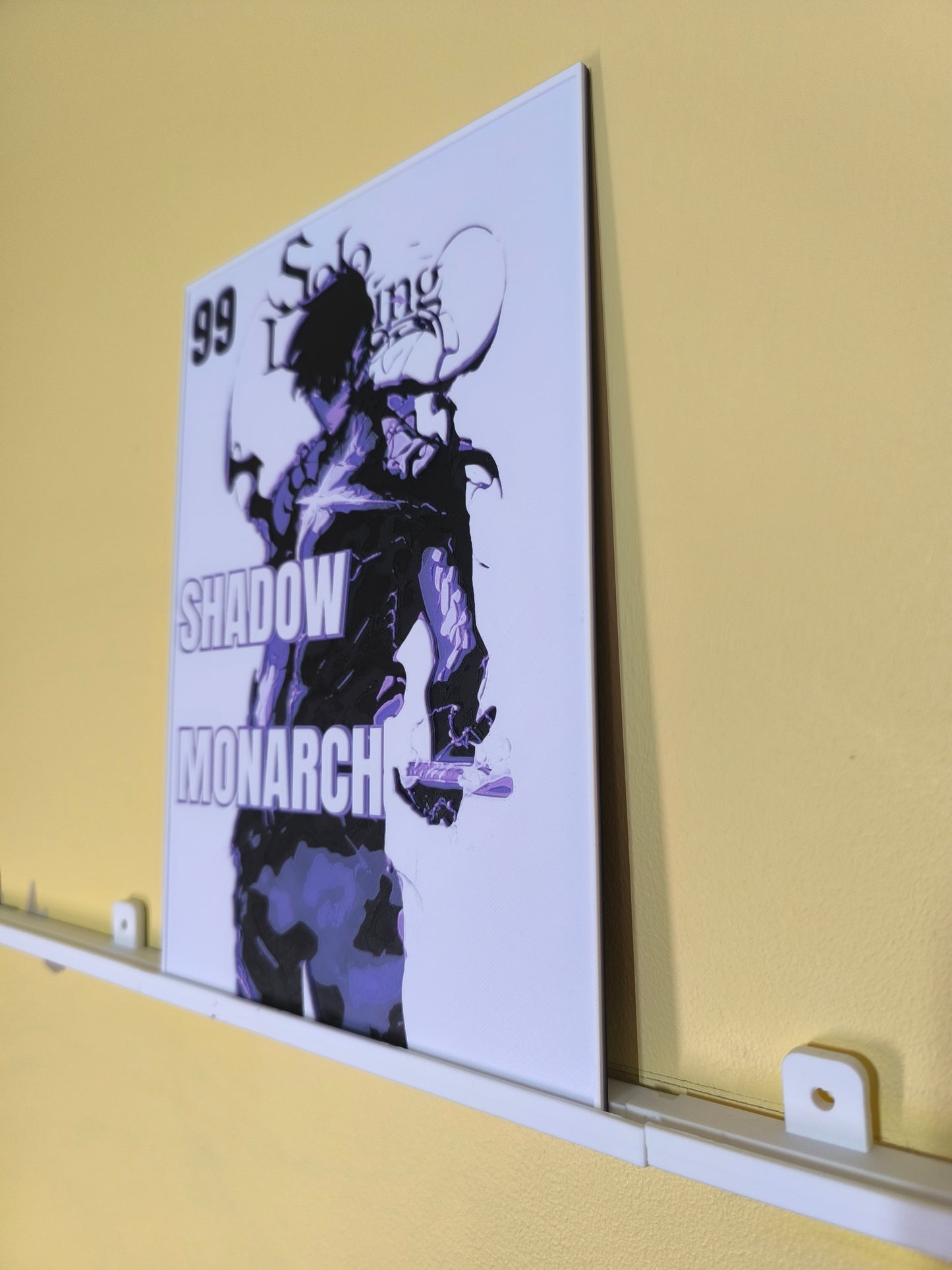 Plaque Décorative Sung Jin-Woo Shadow Monarch | Solo Leveling